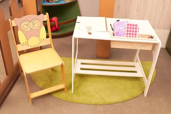 Build And Paint It Yourself Potter Hedwig Chair